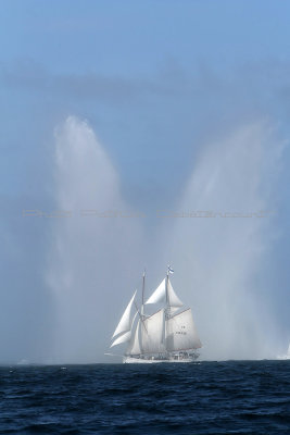 36 Ftes maritimes de Douarnenez 2012 - MK3_2181_DxO Pbase.jpg