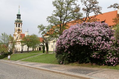 154 - Discovering Czech Republic - Prague and south Bohemia - IMG_0021_DxO Pbase.jpg