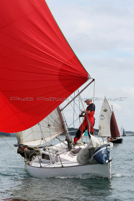 209 Festival de la voile de l'ile aux Moines 2012 - MK3_5424_DxO Pbase.jpg