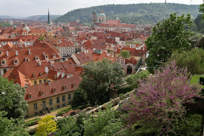 954 - Discovering Czech Republic - Prague and south Bohemia - IMG_1379_DxO Pbase.jpg