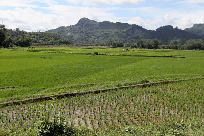 786 - Discovering Indonesia - Java Sulawesi and Bali islands - IMG_2870_DxO Pbase.jpg