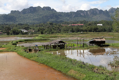 814 - Discovering Indonesia - Java Sulawesi and Bali islands - IMG_2899_DxO Pbase.jpg