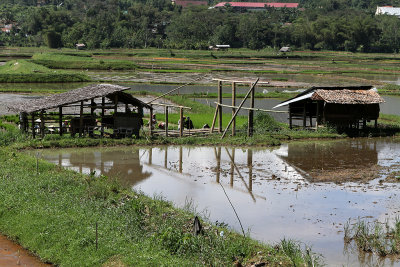 818 - Discovering Indonesia - Java Sulawesi and Bali islands - IMG_2903_DxO Pbase.jpg