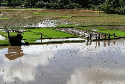 820 - Discovering Indonesia - Java Sulawesi and Bali islands - IMG_2905_DxO Pbase.jpg