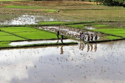 822 - Discovering Indonesia - Java Sulawesi and Bali islands - IMG_2907_DxO Pbase.jpg