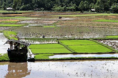 828 - Discovering Indonesia - Java Sulawesi and Bali islands - IMG_2913_DxO Pbase.jpg