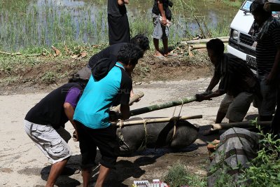 856 - Discovering Indonesia - Java Sulawesi and Bali islands - IMG_2942_DxO Pbase.jpg