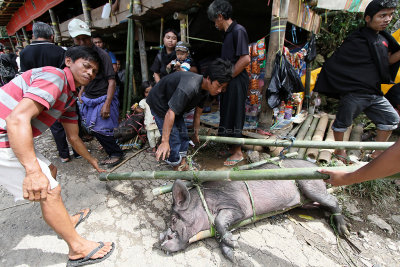 906 - Discovering Indonesia - Java Sulawesi and Bali islands - IMG_2992_DxO Pbase.jpg