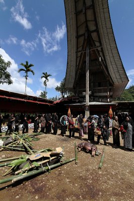 962 - Discovering Indonesia - Java Sulawesi and Bali islands - IMG_3048_DxO Pbase.jpg