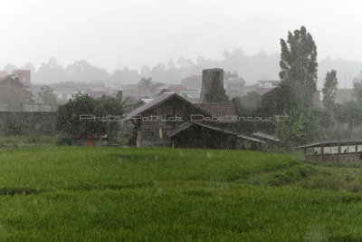 1217 - Discovering Indonesia - Java Sulawesi and Bali islands - IMG_3306_DxO Pbase.jpg