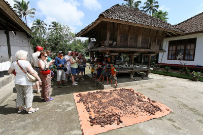 2294 - Discovering Indonesia - Java Sulawesi and Bali islands - IMG_4408_DxO Pbase.jpg