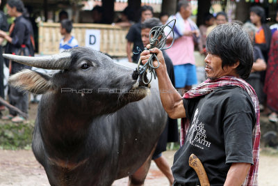 1452 - Discovering Indonesia - Java Sulawesi and Bali islands - IMG_3547_DxO Pbase.jpg