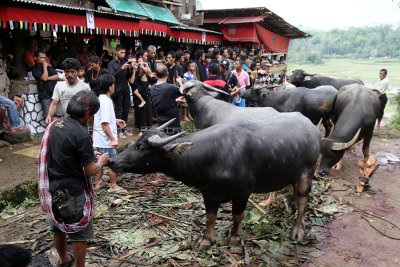 1469 - Discovering Indonesia - Java Sulawesi and Bali islands - IMG_3564_DxO Pbase.jpg