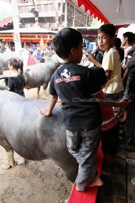 1471 - Discovering Indonesia - Java Sulawesi and Bali islands - IMG_3566_DxO Pbase.jpg