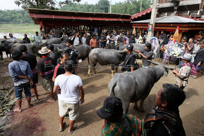 1482 - Discovering Indonesia - Java Sulawesi and Bali islands - IMG_3577_DxO Pbase.jpg