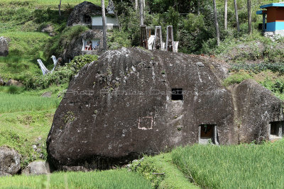 1684 - Discovering Indonesia - Java Sulawesi and Bali islands - IMG_3785_DxO Pbase.jpg