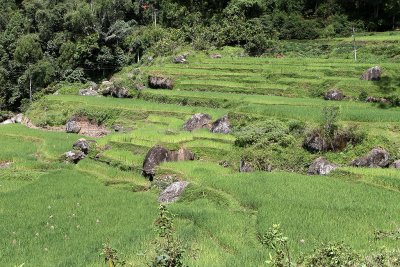 1686 - Discovering Indonesia - Java Sulawesi and Bali islands - IMG_3787_DxO Pbase.jpg