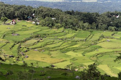 1766 - Discovering Indonesia - Java Sulawesi and Bali islands - IMG_3864_DxO Pbase.jpg