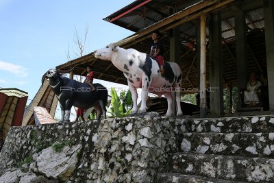 1818 - Discovering Indonesia - Java Sulawesi and Bali islands - IMG_3916_DxO Pbase.jpg