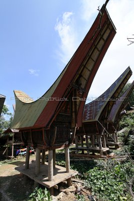 1827 - Discovering Indonesia - Java Sulawesi and Bali islands - IMG_3925_DxO Pbase.jpg