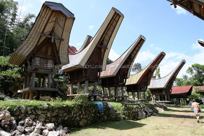 1834 - Discovering Indonesia - Java Sulawesi and Bali islands - IMG_3932_DxO Pbase.jpg