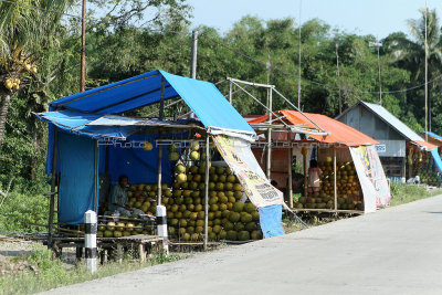 2122 - Discovering Indonesia - Java Sulawesi and Bali islands - IMG_4231_DxO Pbase.jpg