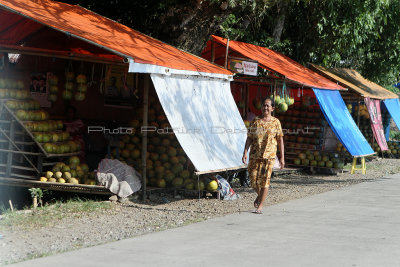 2123 - Discovering Indonesia - Java Sulawesi and Bali islands - IMG_4232_DxO Pbase.jpg