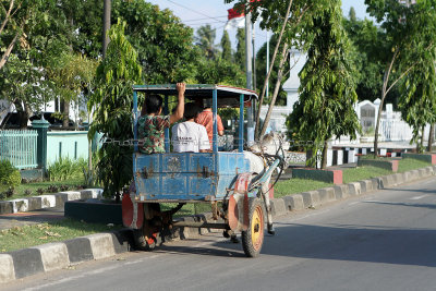 2137 - Discovering Indonesia - Java Sulawesi and Bali islands - IMG_4247_DxO Pbase.jpg