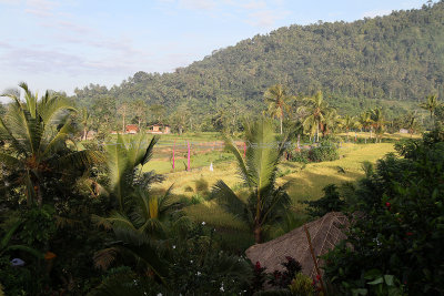 3262 - Discovering Indonesia - Java Sulawesi and Bali islands - IMG_5424_DxO Pbase.jpg