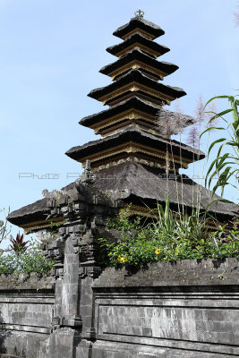 3368 - Discovering Indonesia - Java Sulawesi and Bali islands - IMG_5531_DxO Pbase.jpg