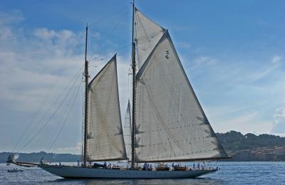 Voiles de Saint Tropez 2005 - Voiliers de tradition