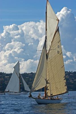 Voiles de Saint Tropez 2005 - Voiliers de tradition