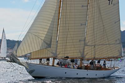 Voiles de Saint Tropez 2005 - Voiliers de tradition