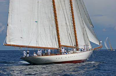 Voiles de Saint Tropez 2005 - Voiliers de tradition