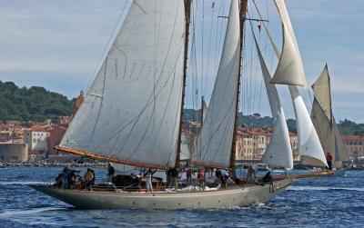 Voiles de Saint Tropez 2005 - Voiliers de tradition