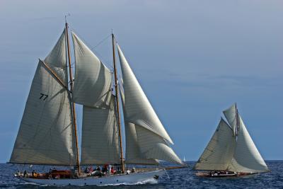 Voiles de Saint-Tropez 2005 -  Voiliers de tradition