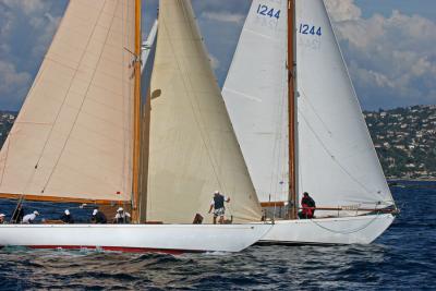 Voiles de Saint-Tropez 2005 -  Voiliers de tradition