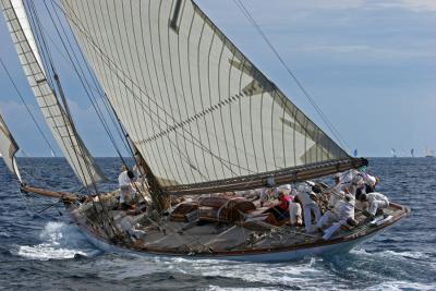 Voiles de Saint-Tropez 2005 -  Voiliers de tradition