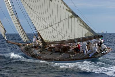 Voiles de Saint-Tropez 2005 -  Voiliers de tradition