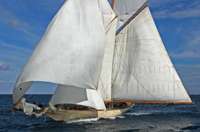 Voiles de Saint-Tropez 2005 -  Voiliers de tradition