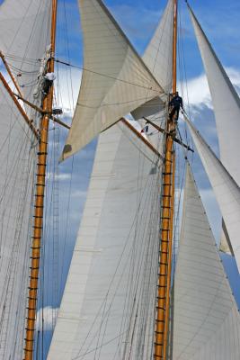 Voiles de Saint-Tropez 2005 -  Voiliers de tradition