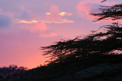 Couch de soleil au-dessus de la savane.