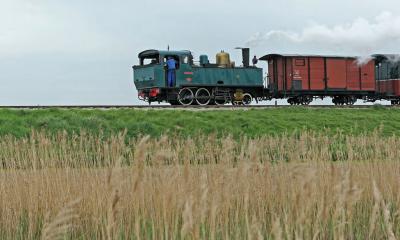 Balade en Baie de Somme - Le petit train  vapeur