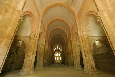 Visite de l'abbaye de Fontenay - L'glise