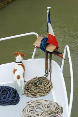 Le long du canal de Bourgogne prs de Chateauneuf en Auxois