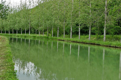 Le long du canal de Bourgogne prs de Chateauneuf en Auxois