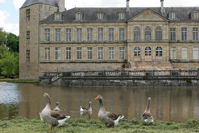 Visite du chateau de Sully, en Bourgogne