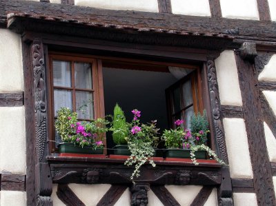 392 Riquewihr-  fentre dcore