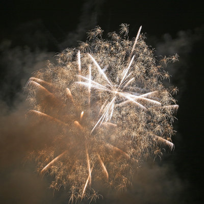 Feux dartifice du 14 juillet au Pouliguen - IMG_0200.jpg