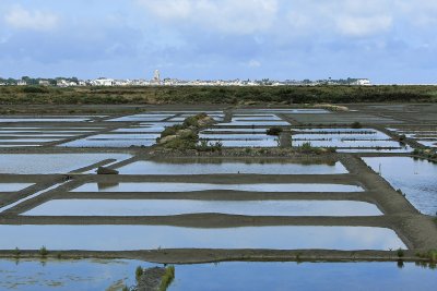 Marais salants de la presqu'le Gurandaise - MK3_4469_DXO.jpg